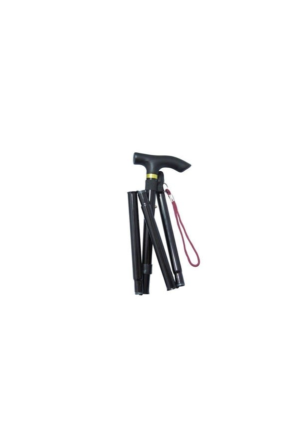 Watton WT-008 Yürüyüş İçin Profesyonel Katlanan Baston